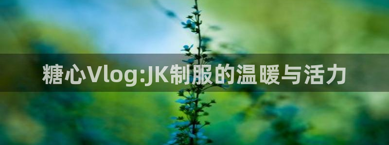 糖心vlog会员充值:糖心Vlog:JK