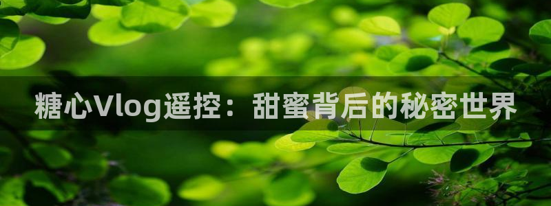 糖心vlog阿朱:糖心Vlog遥控:甜蜜