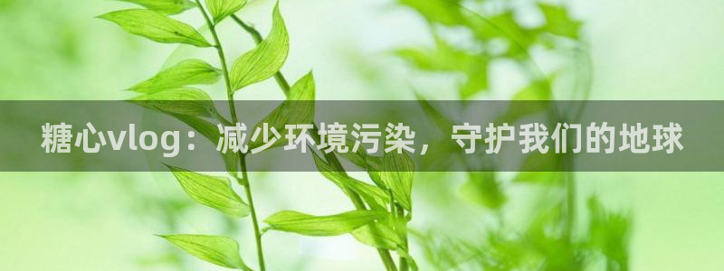 鸡教练vlog糖心:糖心vlog:减少环