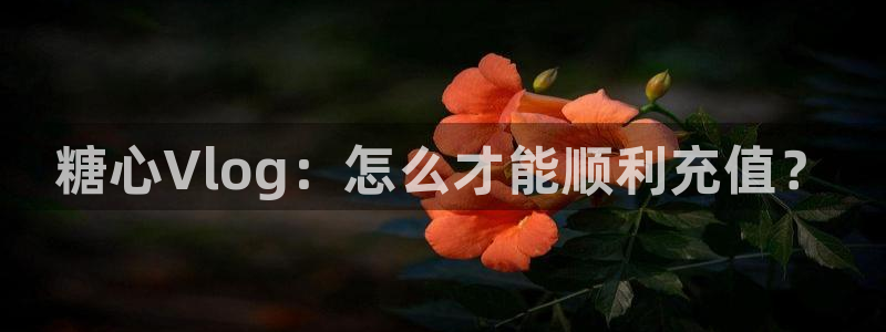 糖心vlog nicolove:糖心Vl